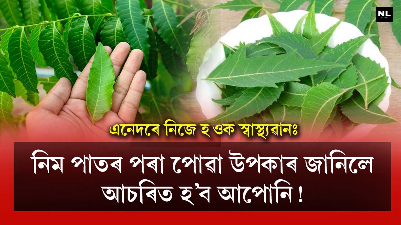 You will be surprised to know the benefits of neem leaves