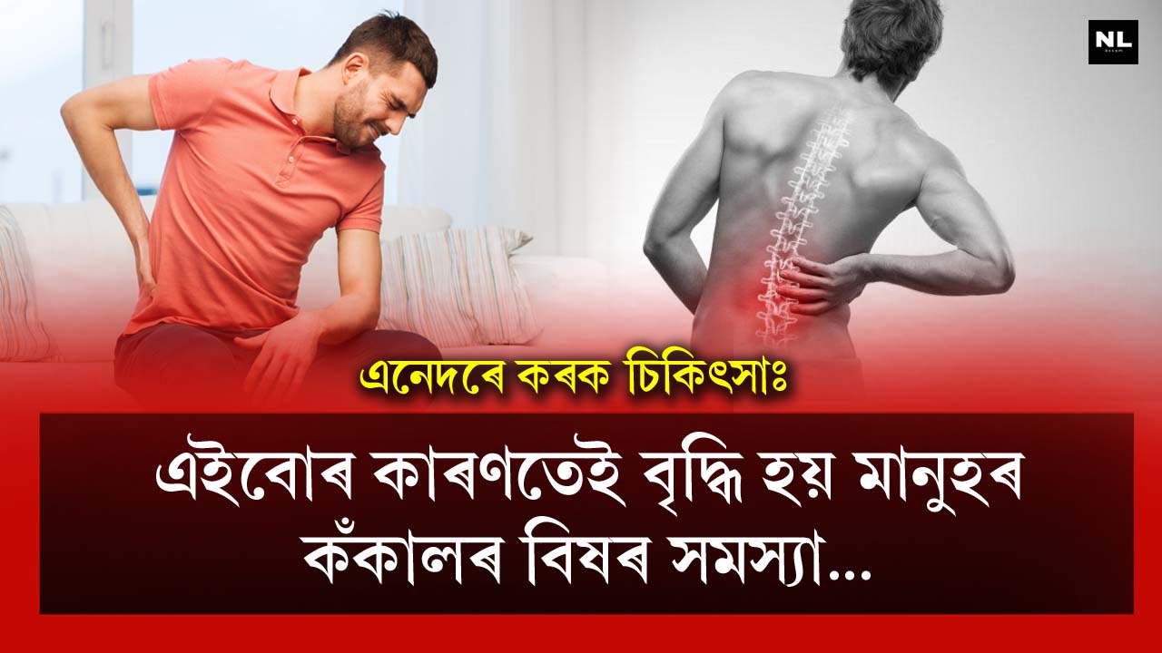 These are the reasons why the problem of low back pain increases